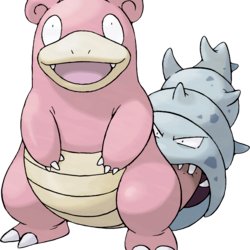 Test produit seul JCR 13/02/2026